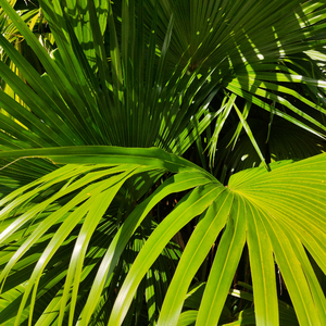 原神❤色情♥网站
